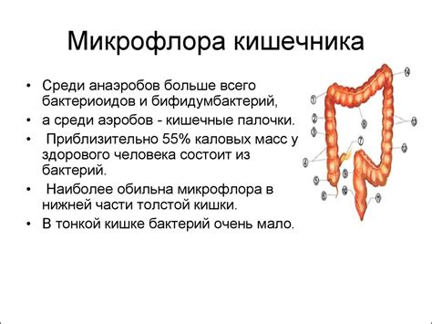 Как поддерживать здоровье кишечника у детей и подростков