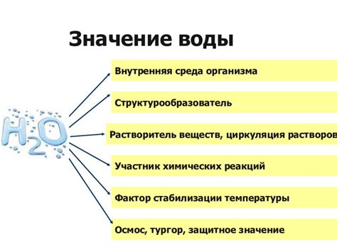 Значение воды для сохранения красоты кожи детей и подростков
